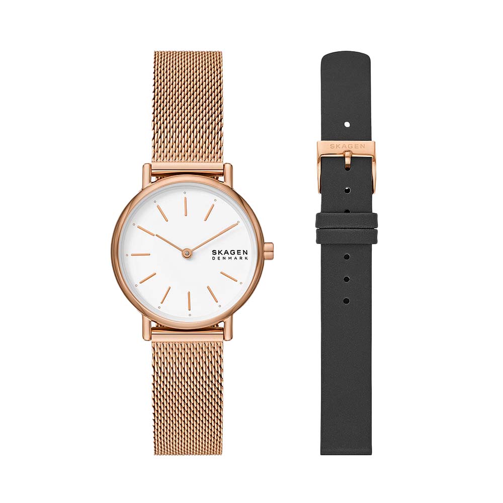 Đồng hồ Skagen Nữ SKW1153SET Dây Mesh 30mm