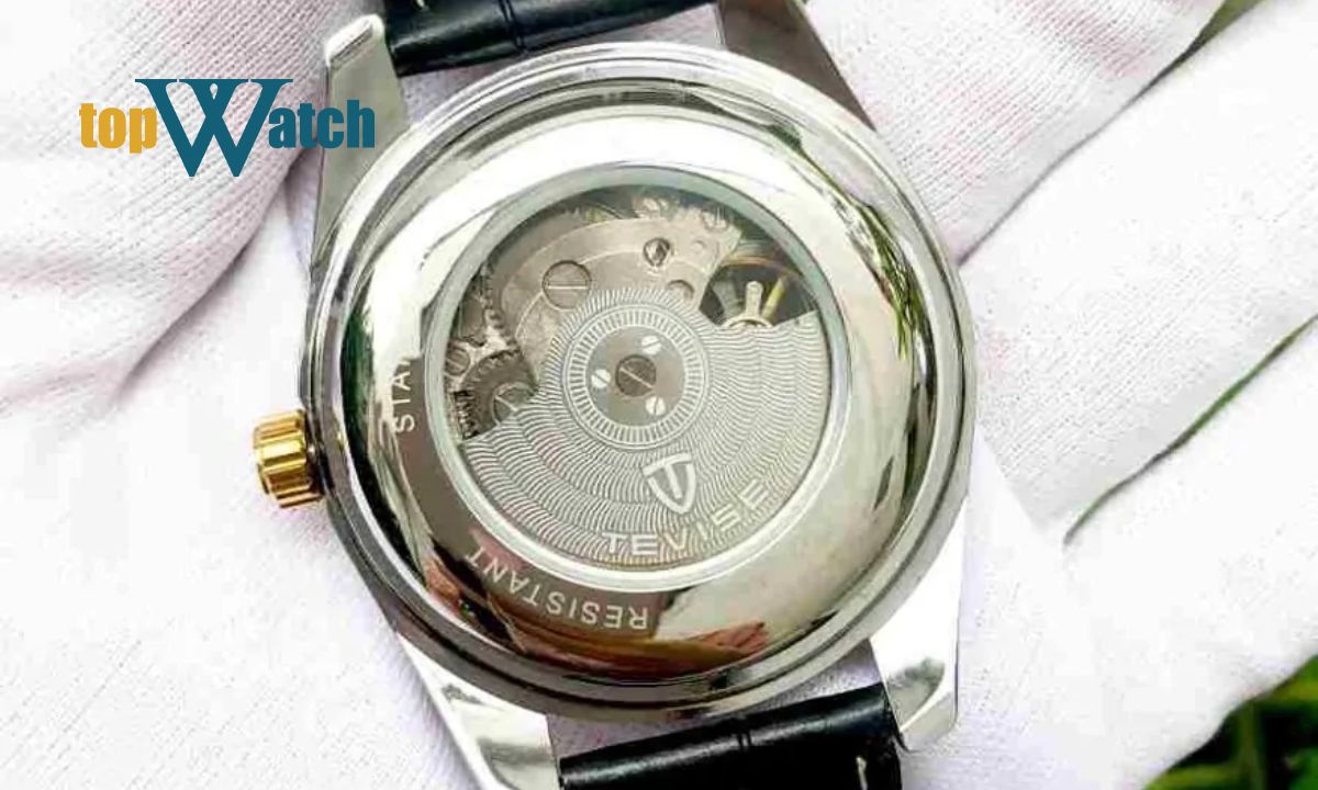 Đồng hồ Tevise của nước nào? Có tốt không? Mặt đáy phía sau của đồng hồ Tevise Automatic