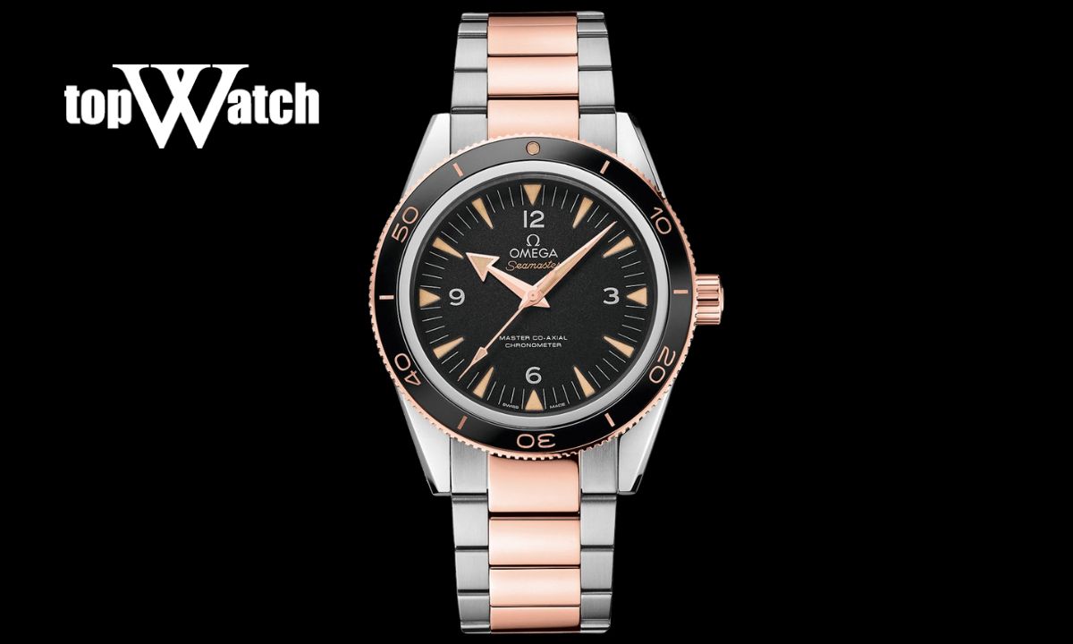 Gợi ý 7 mẫu đồng hồ Omega nam dây kim loại đẹp, nổi bật cho quý ông Đồng Hồ Omega Nam Dây Kim Loại 233.20.41.21.01.001