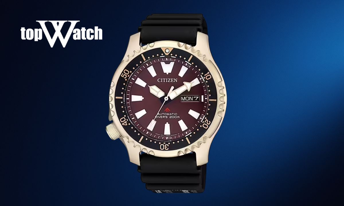 Top 12 đồng hồ cơ Citizen nam cao cấp, thiết kế đẹp, độc đáo Đồng hồ Citizen Promaster NY0083-14X nam Automatic
