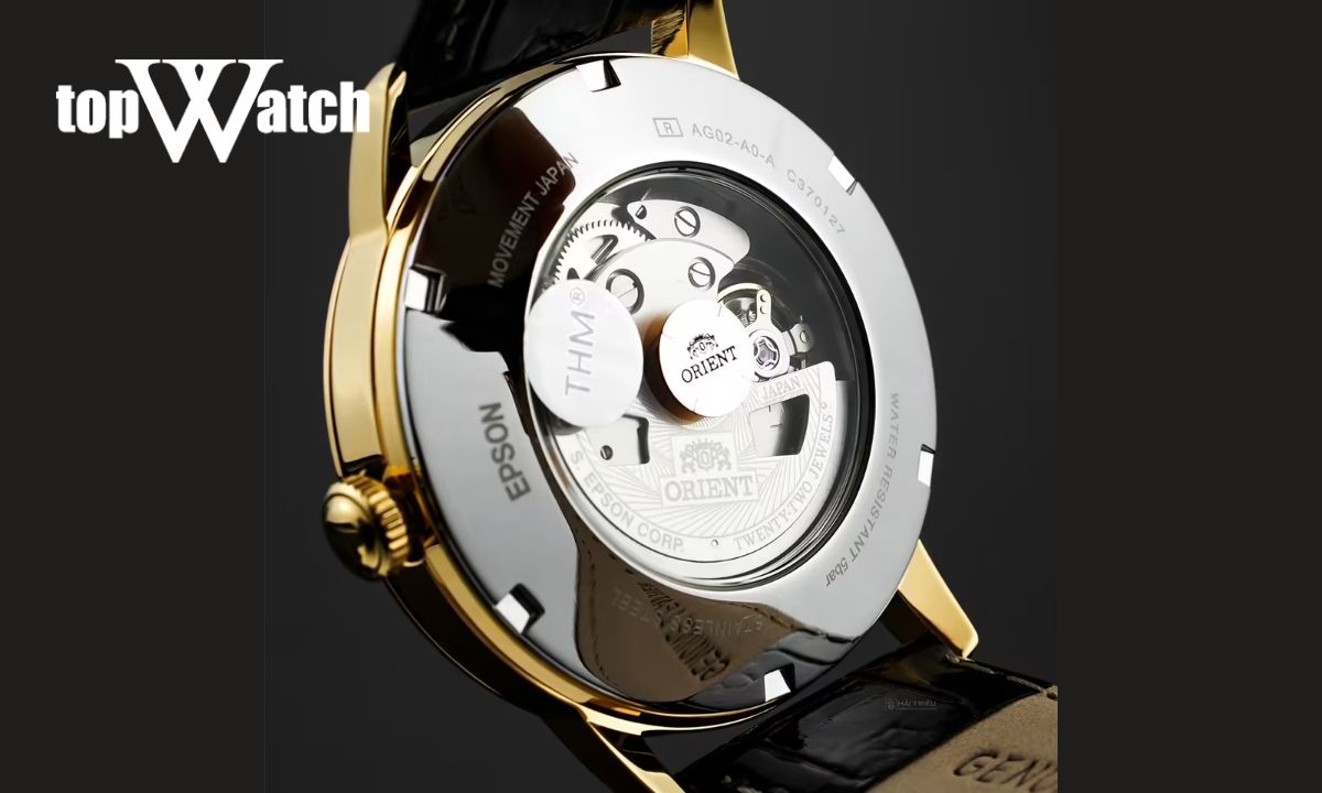 Cách nhận biết đồng hồ Orient chính hãng chính xác, dễ áp dụng Kiểm tra kỹ các chi tiết được khắc ở mặt đáy