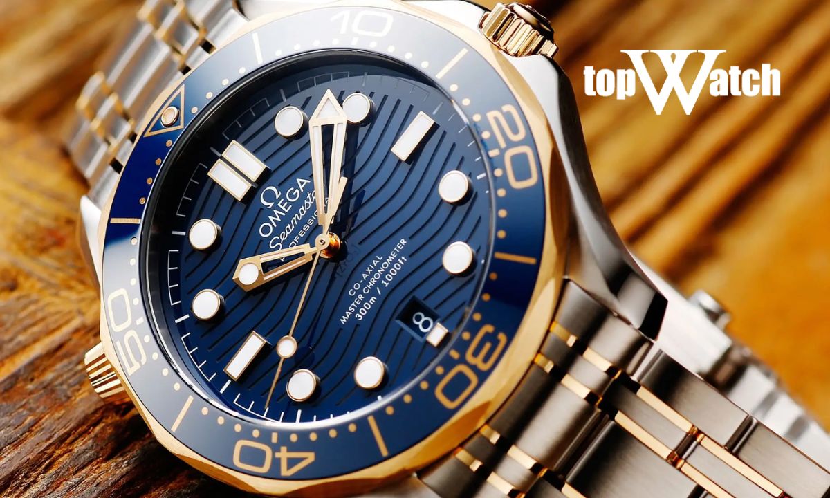 Đồng hồ Omega Seamaster Diver 300M 210.30.42.20.03.001