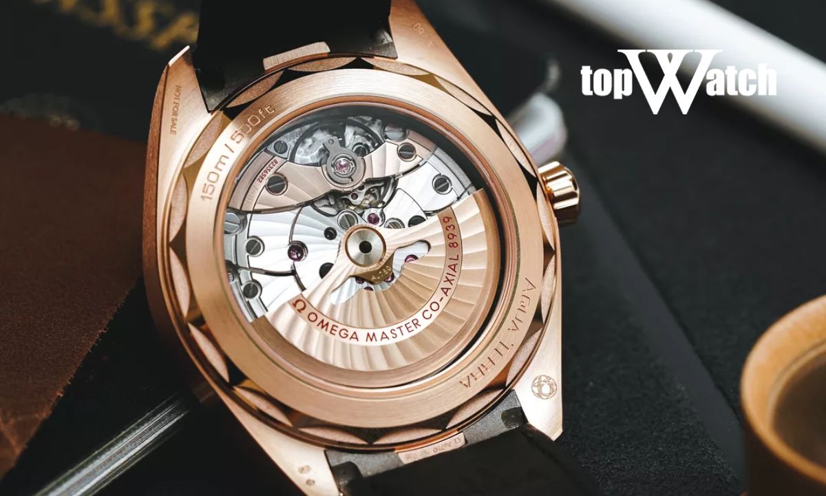 Tất tần tật về cách check đồng hồ chính hãng bạn cần biết Nắp lưng đồng hồ Omega